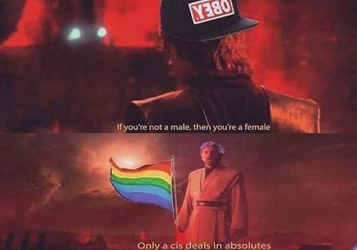 The meme features a character from the Star Wars franchise, Obi-Wan Kenobi, holding a rainbow flag, which is a symbol of the LGBTQ+ community. The text above the image reads, "If you're not a male, then you're a female." Below the image, it says, "Only a cis deal in absolutes." This is a play on the phrase "only a [something] in [something]," which is a common way to express that someone is only [something] in [something] when they are [something]. In this case, it's used to make a humorous comment about people who are not trans or non-binary, but rather identify as male or female. The image is meant to be humorous and satirical, rather than serious.